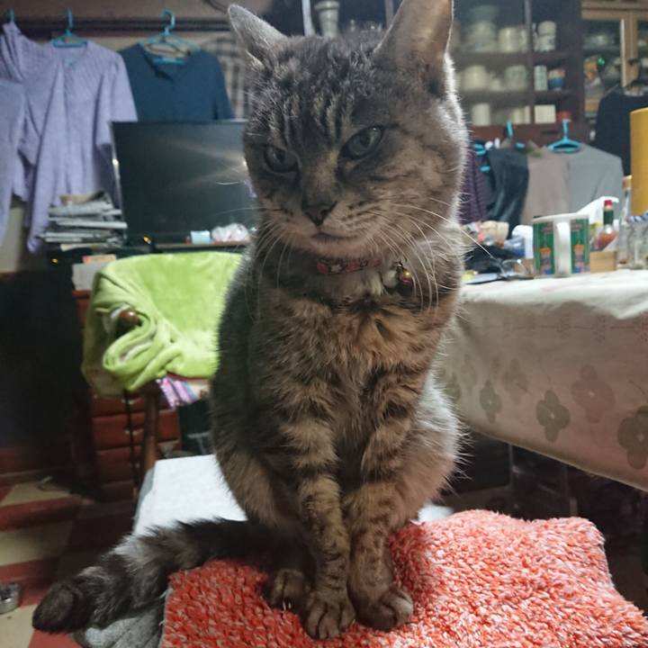 6836099d b716 48c9 8fb5 d66e86b171da 1582317025257