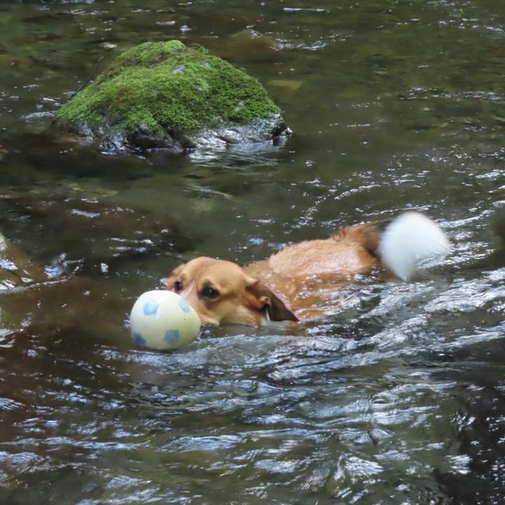 68360cf6 863a 45ea bb33 aba761a79318 1688296203215