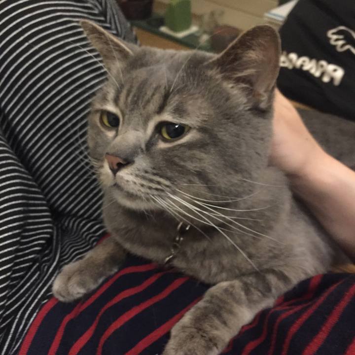 68361e6f fa7a 4df6 9a5c 1eb8adb08136 1531503732710