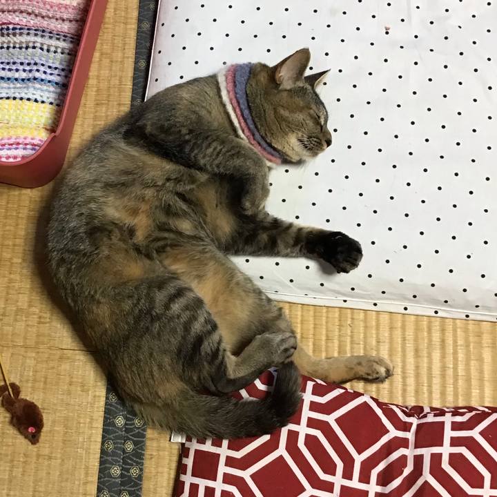 68363f30 f872 4fa6 b6d4 cca31eefd7a2 1626504655795