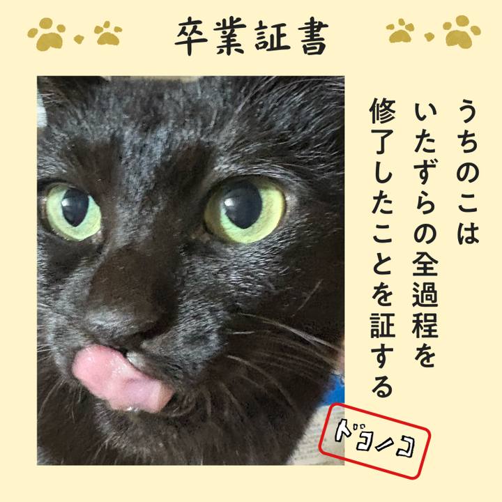 68364edf d212 46a8 addd 8dd6f1ae290a 1771842799525