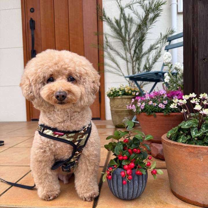 68365acc a37b 472b 86ef da013693fe98 1763505607700