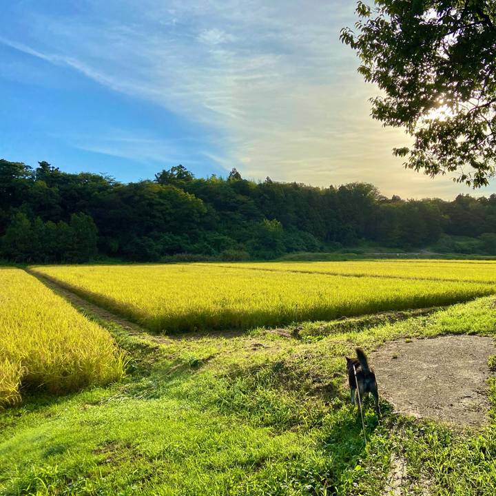 68368115 730c 41aa 8c52 f929bc420837 1631487157272