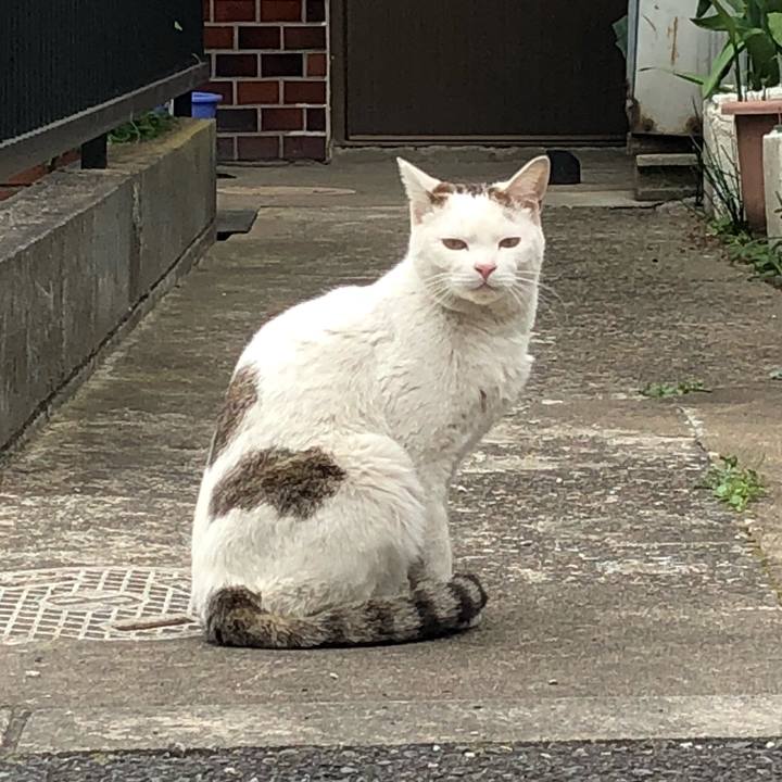 68368caa 8164 4ec9 aab6 66f5e464b49f 1523867137284