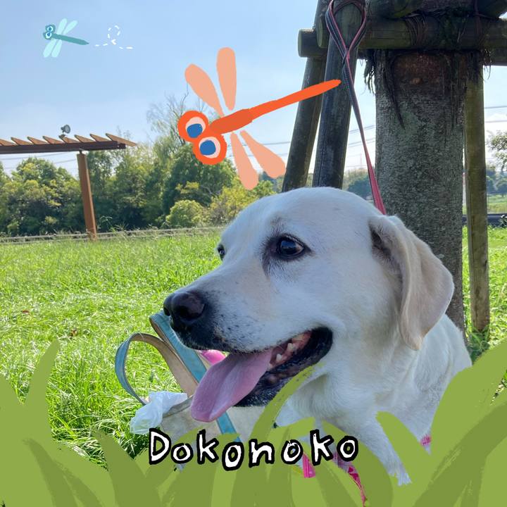 68369a11 26ab 4169 8679 dbbd91b1e402 1727051531418