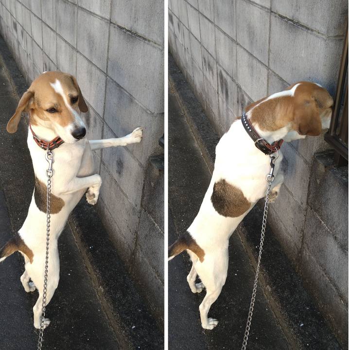 68371d47 e64c 47df 9993 18eba6671a8f 1633173210917