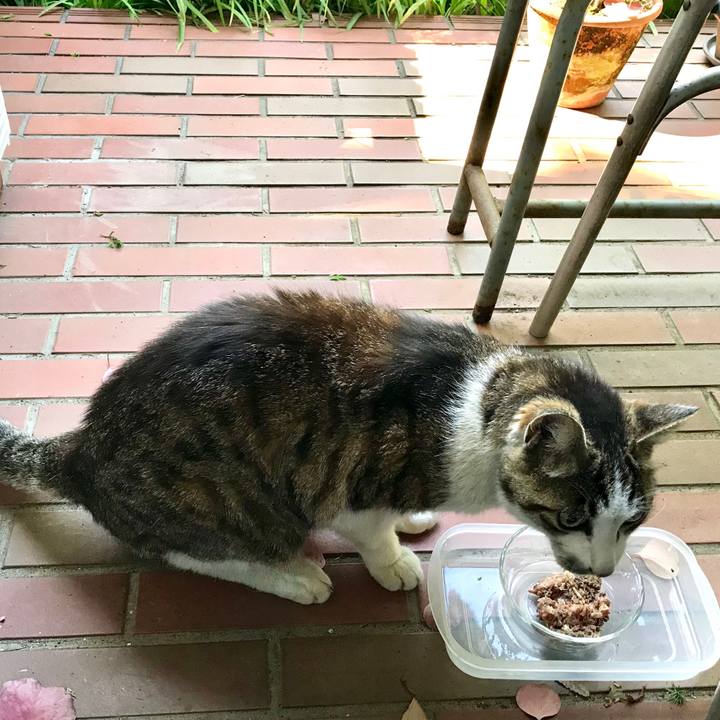 68374259 8750 42de a213 e485b255f18f 1560762051721