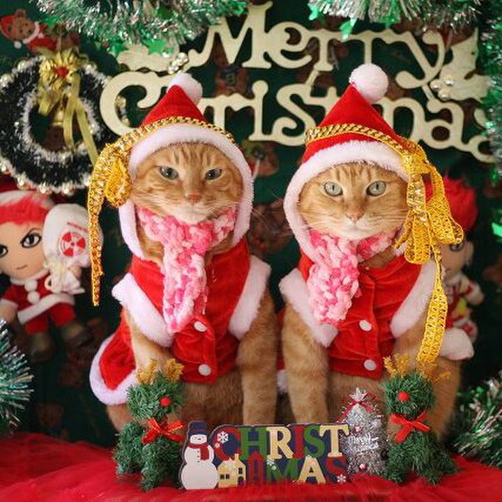 68379c65 5ccf 4bf6 927a 161b2c817d45 1545450217129