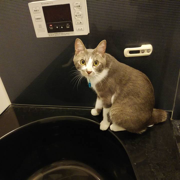 6838048d 890d 4786 a914 09eb0020b079 1593349648859