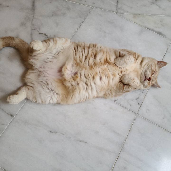 68380f0a bccc 4121 a5b8 1ebd3190c8fb 1627618133771