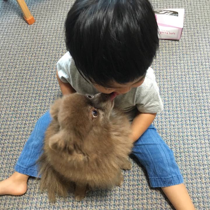 68381512 9839 4e6d bb40 ea1e3caa75b1 1530103710120