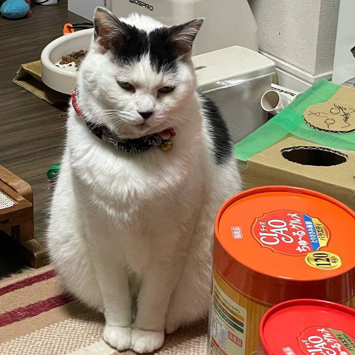 6838534a 1390 4a5b 9711 ceb1be945985 1710860429190