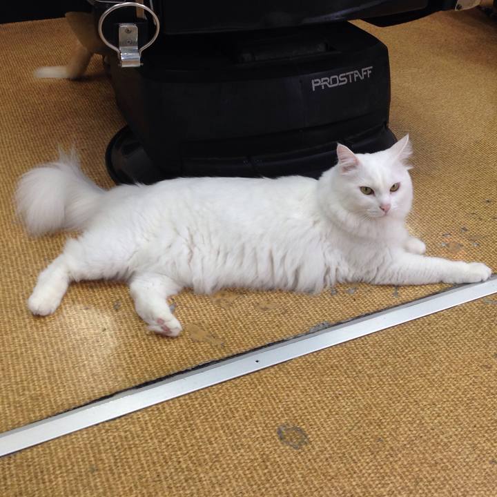 68386e6a 924b 43c1 83d7 fc7030cdc122 1508630201571