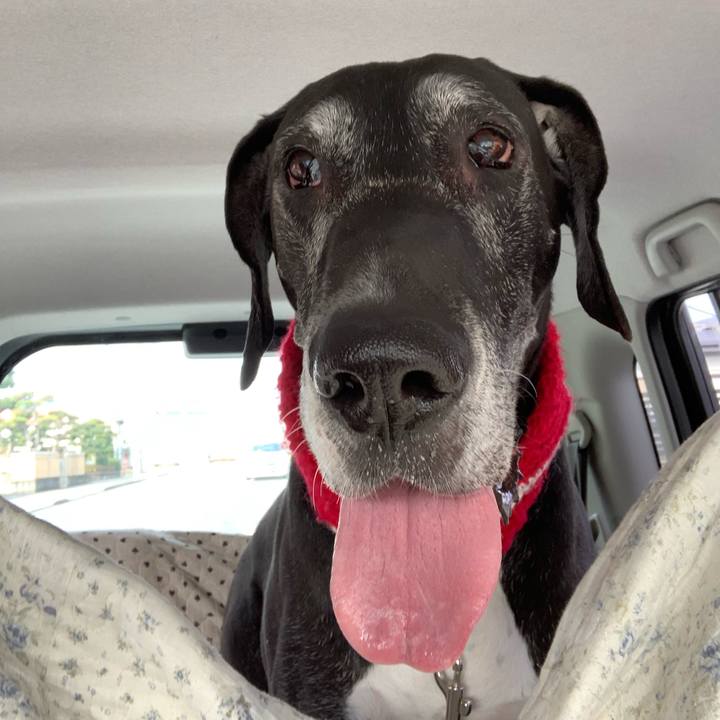 6838711c 90ab 47eb a2fa 16028fec3d88 1551498985610