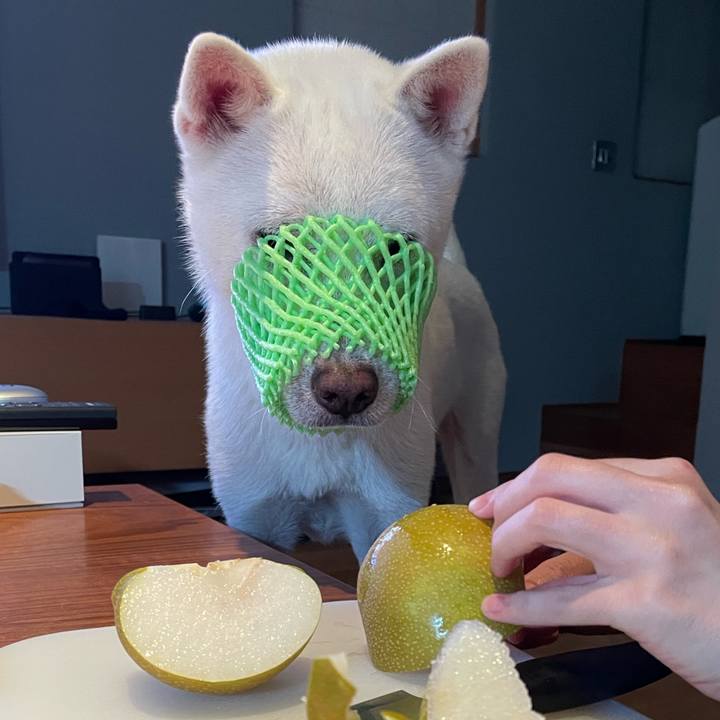 6838d62f 2db7 4fd1 b06f 1610742bada4 1691844127641