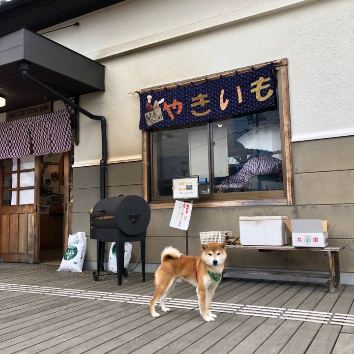 6838e299 b542 44d7 a6e7 9ad1e409831c 1547888550564