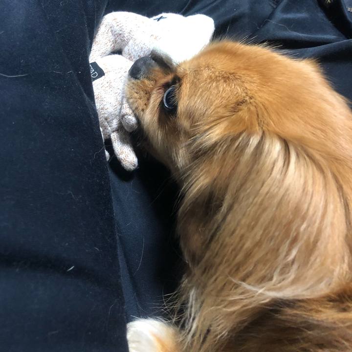 6839135f 0df1 4329 84e7 ce8026cae9a6 1541540314404