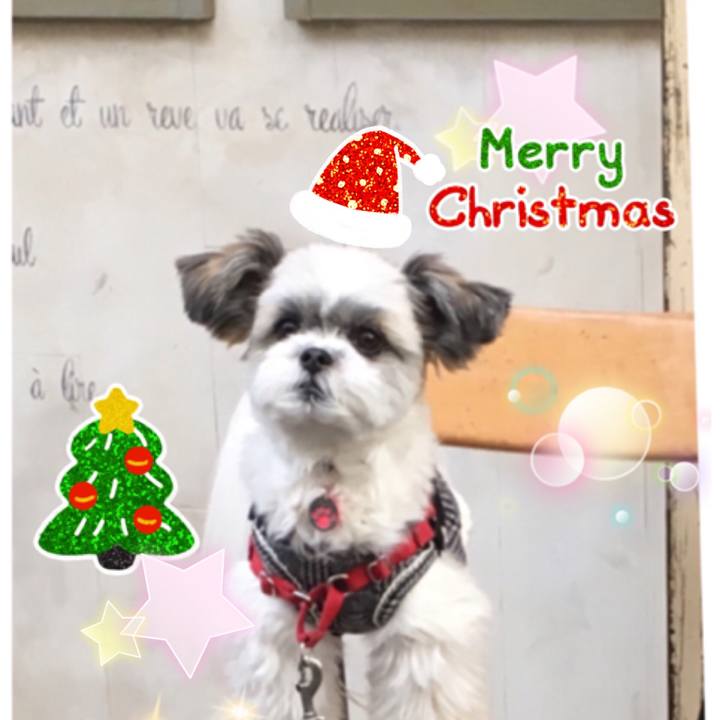 683929fa 3ba6 4214 bee9 d6c904865489 1545624476062