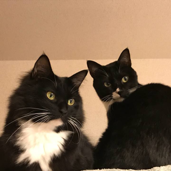 68393a89 6dc2 4ef6 a3c5 14e116c509b4 1517182694738