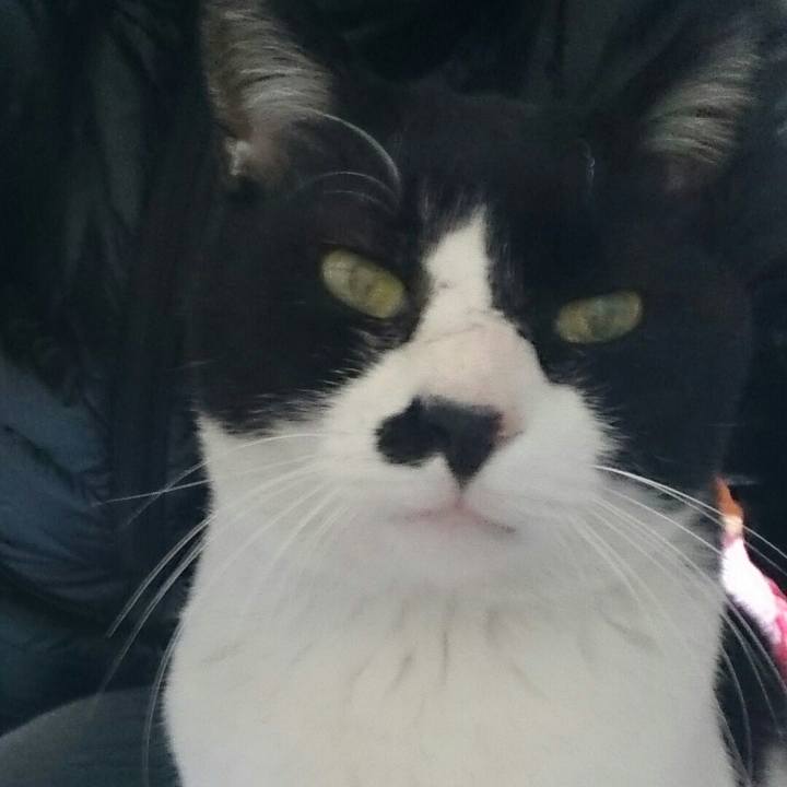 68396d4d 6afa 4a33 b02c 743a5aba6273 1513069827650