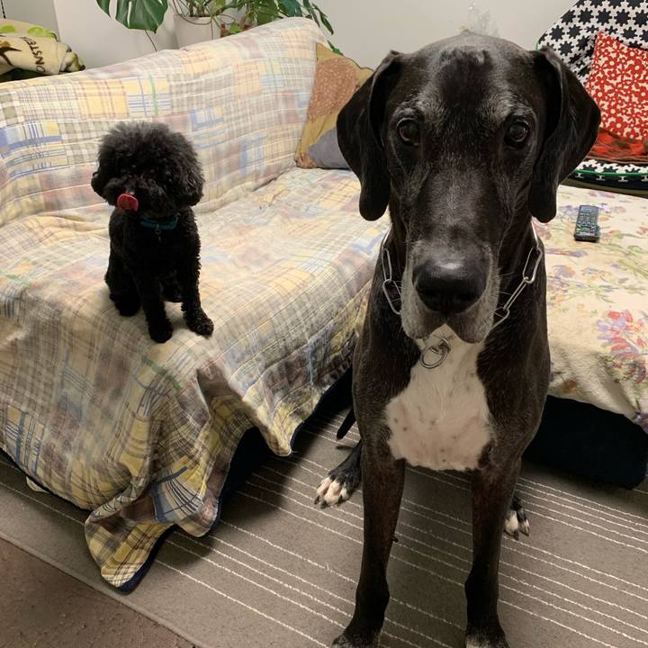 6839b276 9a6b 489e a45b ff0935601aed 1562798358292