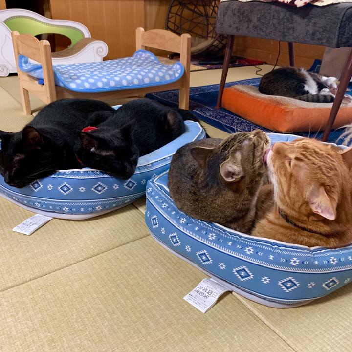 6839be24 1996 40d0 8737 f6df7f7e2e4d 1566964915316