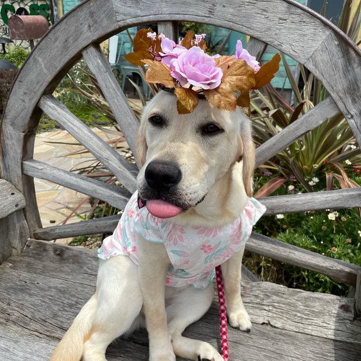 6839fce2 5609 46ac a78c 7f2bb697aac7 1624277320983