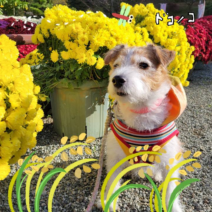 683a271d 7cc6 43c3 a1bd 40143e189035 1763598554497