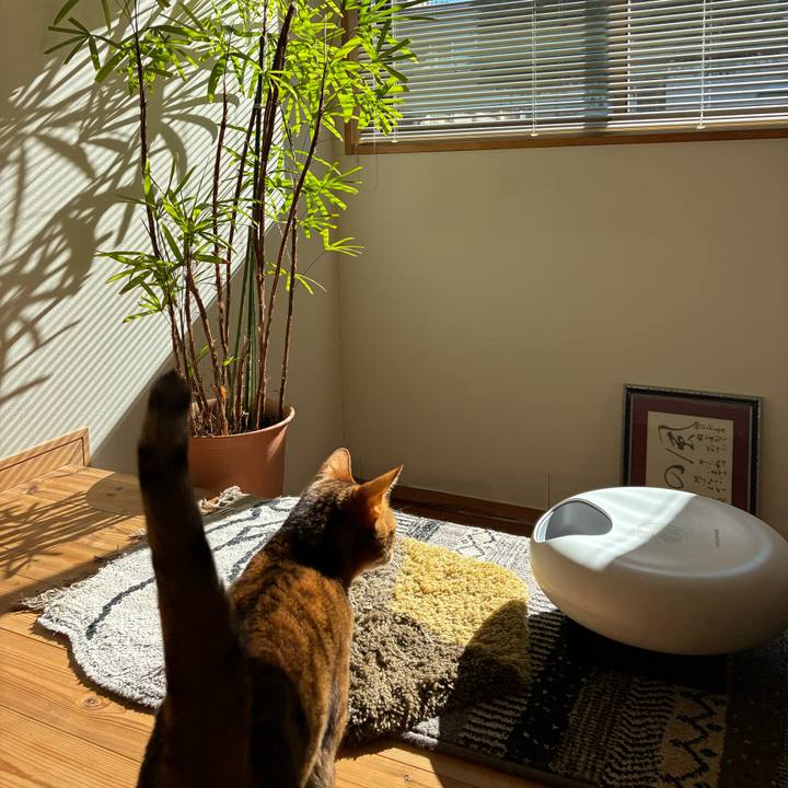 683a4792 7c16 4845 a434 083976a30b31 1767407746643