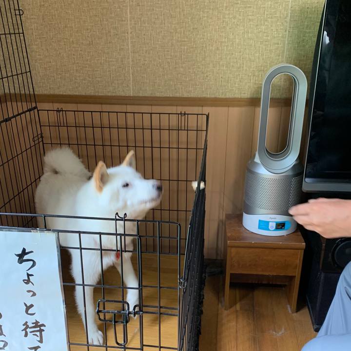 683a6c47 fbf5 4138 b568 f90af078118a 1561963418806