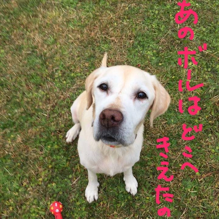 683aeb6e 06dc 4a02 9e72 5df9a2330178 1510615000115