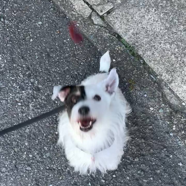 683af9c5 461d 46e8 a89b a368c2c54524 1694423342459