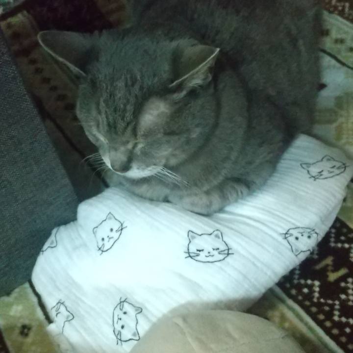 683b02e7 a885 4ae0 8555 81374613116d 1672356842523