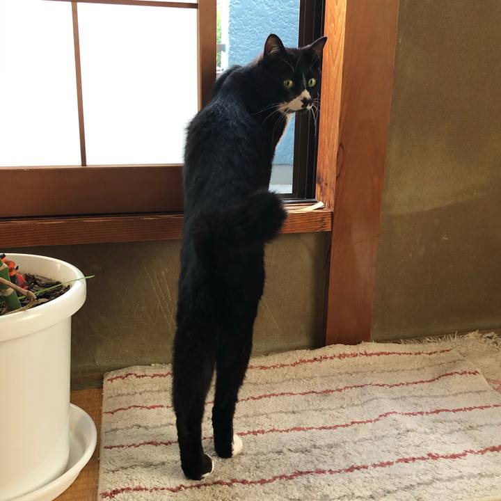 683b0fab 2428 46dc 81fe 069fe7fc074f 1590724803466