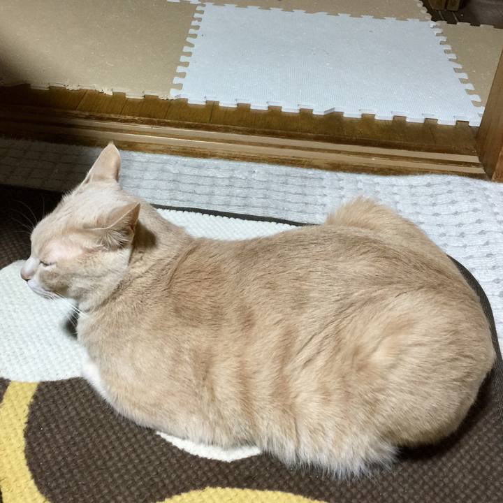 683bd98d 33e5 4e2f 9940 c951ccd272f1 1511872486074