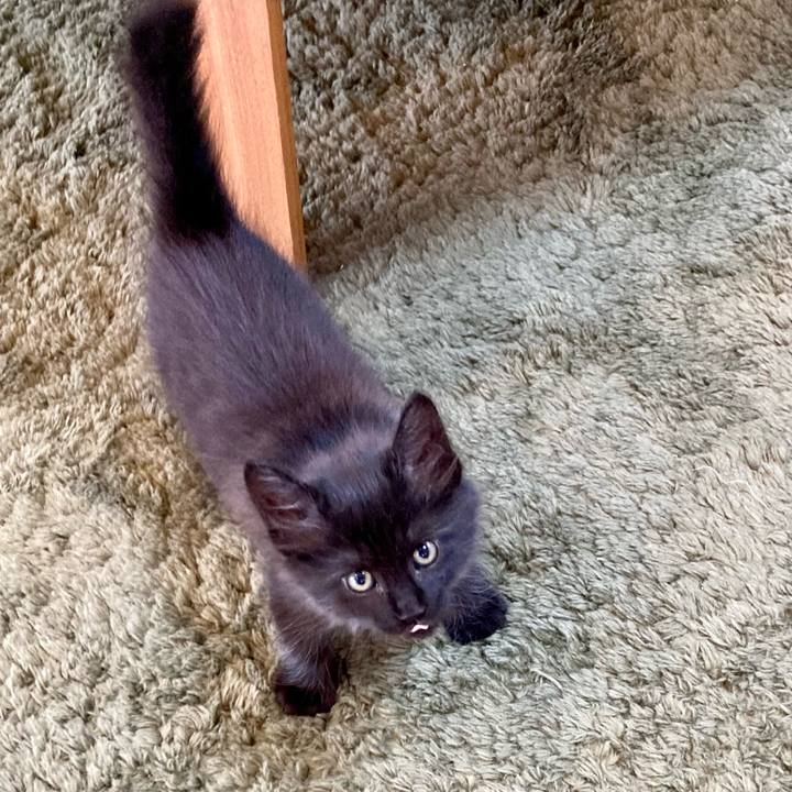 683be6e0 18a7 4327 89e7 f9fc3a36566d 1699169049201