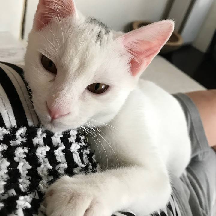 683c0608 5ed1 49a4 991f cf4f23a8ec4b 1572925736807