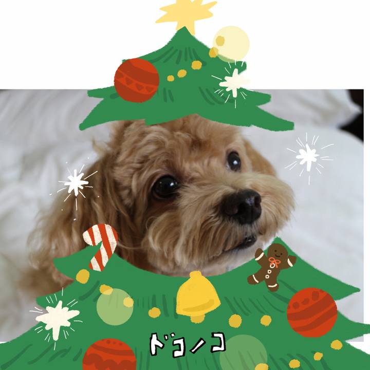 683c072a 329e 45b6 aae0 525d7b9985d3 1761364370287