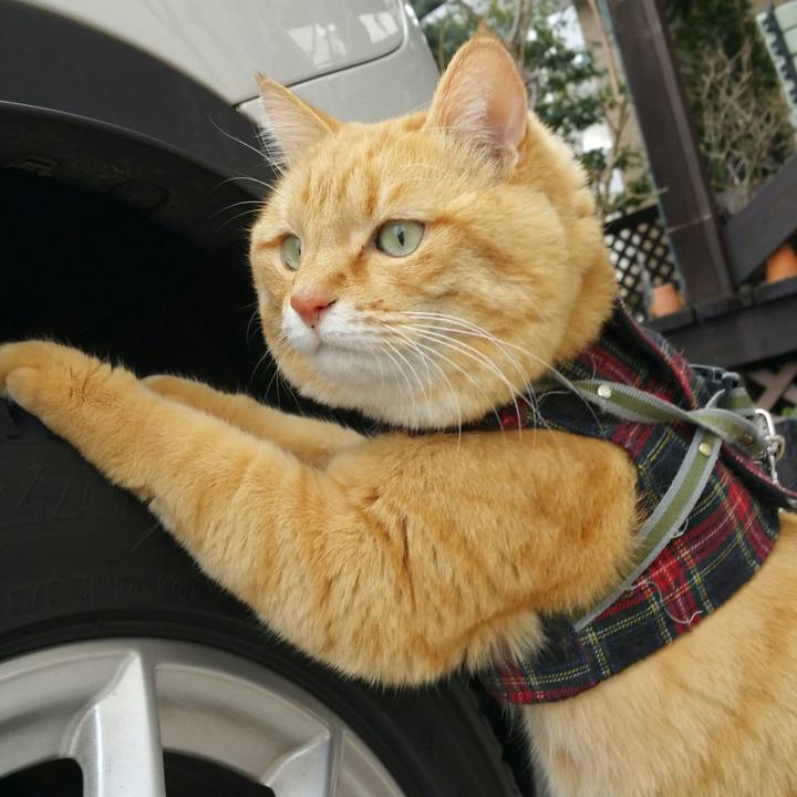 683c4c8e 52c5 4b2d 80fc 5f31bc9f88ad 1547551665220