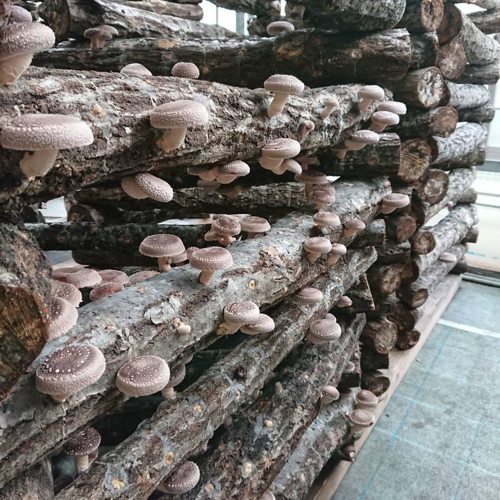 683c5270 0707 4c58 9b78 ab502681463b 1602764369779