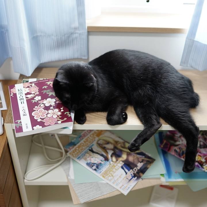 683c9de9 983d 4fc9 9c4d e19aa295c367 1559518212722