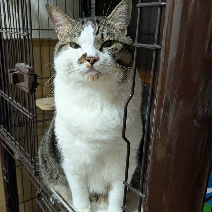 683cb549 fb89 4474 b8f6 44cae9cad715 1754775769523