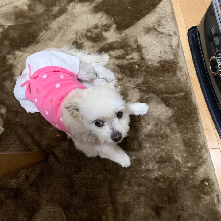 683ce31f 1ce5 4a2a b60b 05679f3a50c9 1646477135981