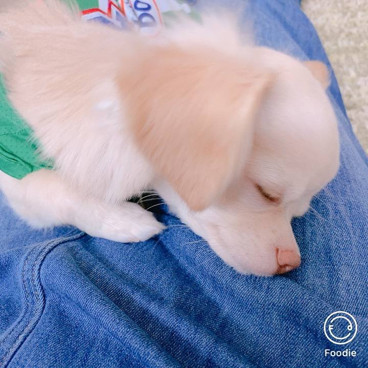 683d48b3 ed9f 4074 941b bd973974e277 1599457012908