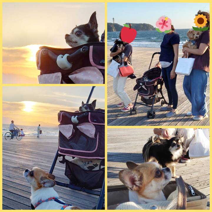 683d6069 1934 44b0 983e eb156887a7d6 1633345309116