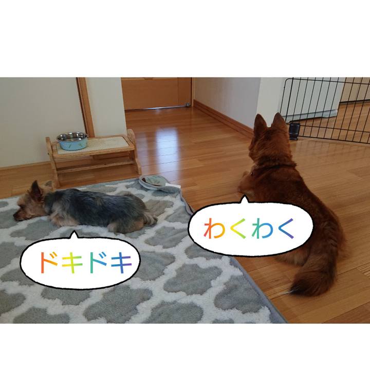 683d70d4 0c15 4f60 95b3 a3b20ae97c09 1558853036085