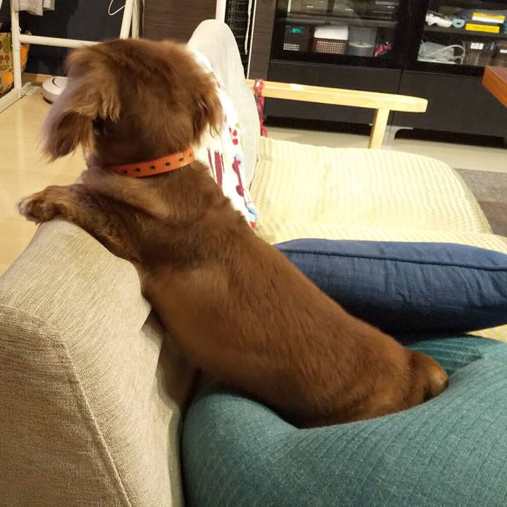 683d9aba 369f 4ea4 8359 1f97efe68c0d 1598704188108