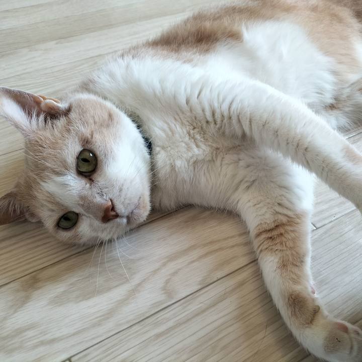 683dc11d f46e 438d a689 7dcea5622f09 1653790723802