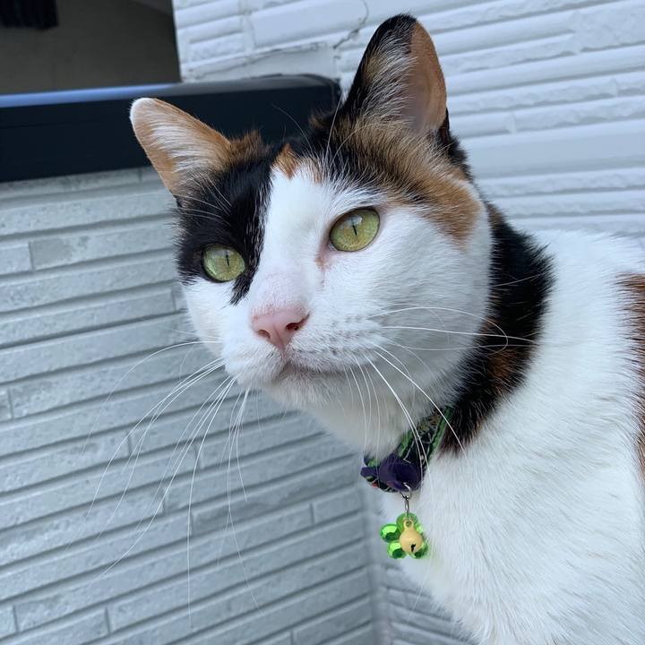 683deebc 70a7 4923 b44b 57e4054ff4f1 1560126792967