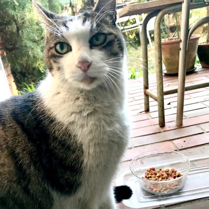 683e4825 4b54 45ce 9e01 9cb19e904e3a 1513502072126